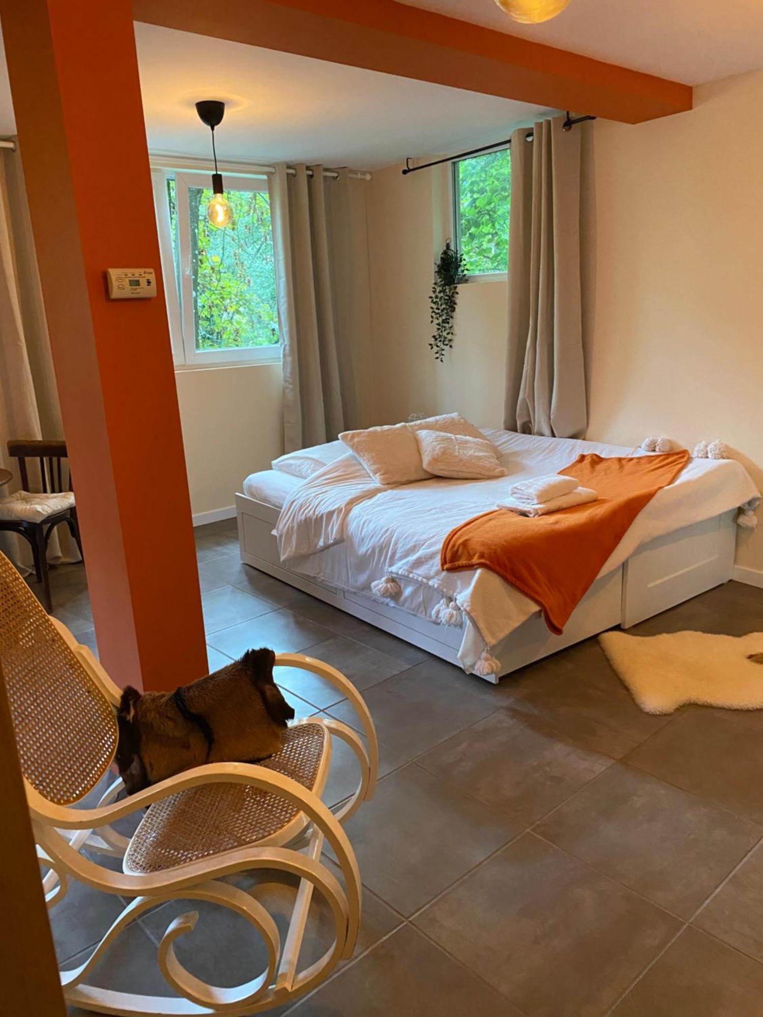 Les Pieds Dans L Eau Apartment Belfort Luaran gambar